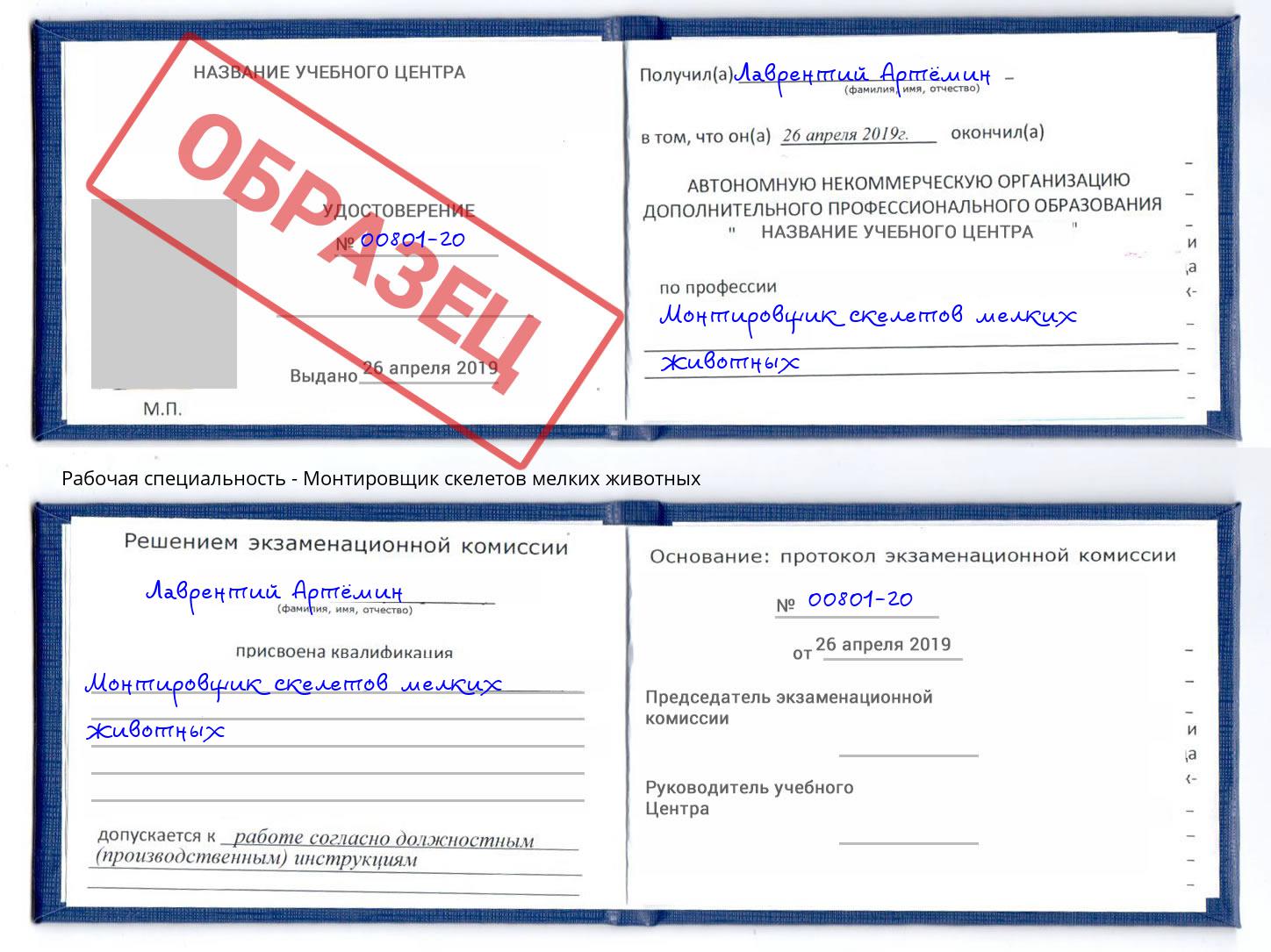 Монтировщик скелетов мелких животных Магадан