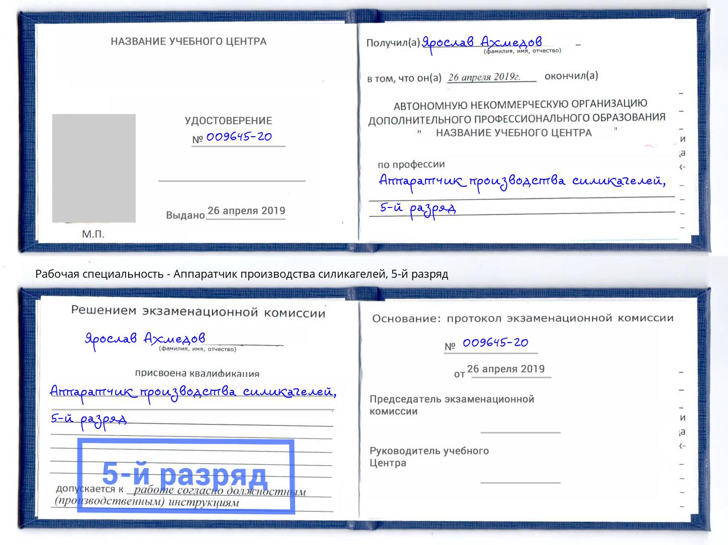корочка 5-й разряд Аппаратчик производства силикагелей Магадан