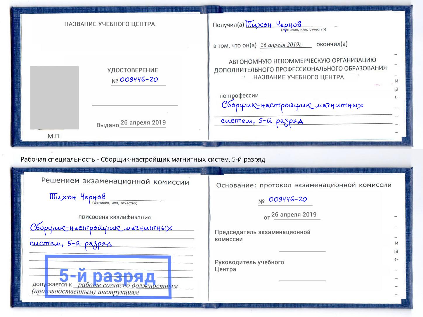корочка 5-й разряд Сборщик-настройщик магнитных систем Магадан